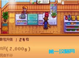 星露谷物语物品栏满了怎么办