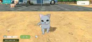 小森生活猫咪衣服获取途径介绍