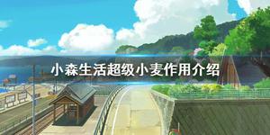 小森生活超级小麦怎么种