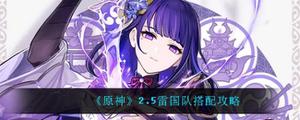 原神2.5雷国队怎样搭配