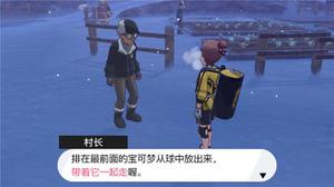 宝可梦剑盾冠之雪原有什么办法让宝可梦跟随自己？