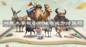 叫我大掌柜小师妹怎么培养