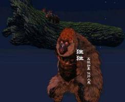 妄想山海猩猩在哪获得？