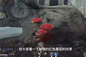 永劫无间红蘑菇有什么效果