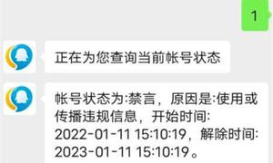 王者荣耀被禁言了怎么申诉？禁言怎么解封？