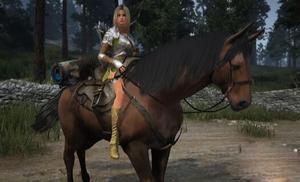 黑色沙漠手游消失的暗影蛇任务攻略 怎么做?