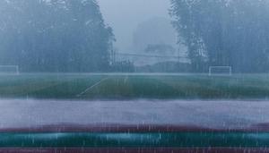 雨水干净吗