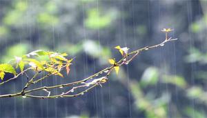 春雨惊春清谷天有几个节气