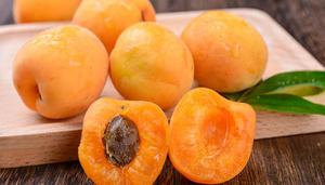 白杏的保存方法