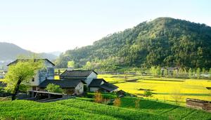 范县属于哪个省哪个市