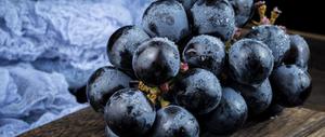 葡萄传播种子的方法是什么