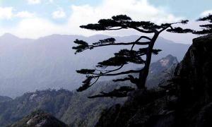 大别山在哪