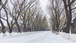 冰雪融化是什么季节