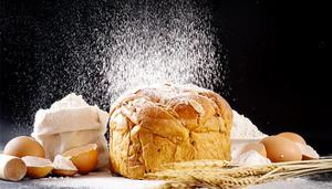 面包发霉是物理变化还是化学变化?