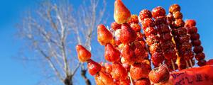 糖葫芦可以放冰箱冷冻吗