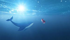 白鲸是海豚吗