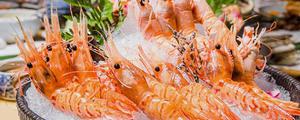 甜虾和北极虾的区别是什么