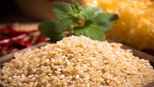 糯小米和黄小米的区别