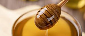 黑蜂蜜与普通蜂蜜区别有哪些