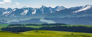 北塔山位于新疆的哪里
