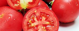 西红柿一般是冷藏还是常温保存