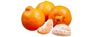 丑橘可以吃到几月份