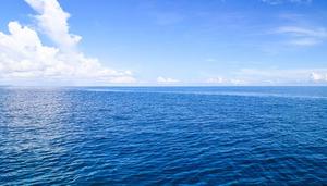 世界上最大的海是什么海