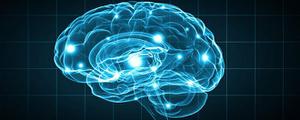 人的大脑主要有五个功能