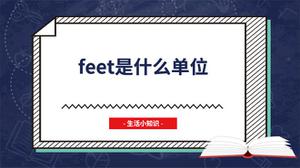 feet是什么单位