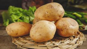 土豆是感光食物吗