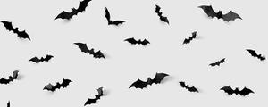 蝙蝠是脊椎动物吗