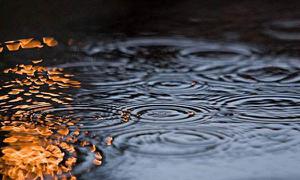 梅雨季节是什么时间