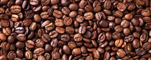 咖啡豆产地