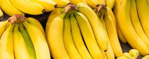 香蕉和芭蕉有什么区别?
