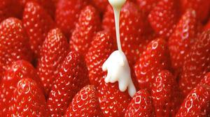 草莓能放多久