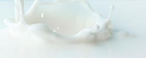 乳固体与生牛乳的区别