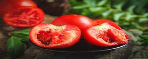 小番茄和西红柿的区别