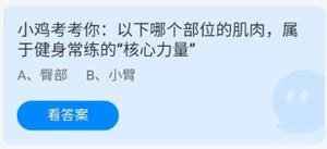 《蚂蚁庄园》以下哪个部位的肌肉，属于健身常练的“核心力量” 5月19日