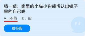 《蚂蚁庄园》猜一猜：家里的小猫小狗能辨认出镜子里的自己吗 6月25日