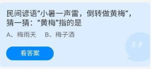 《蚂蚁庄园》7.7民间谚语“小暑一声雷，倒转做黄梅”，猜一猜：“黄梅”指的是