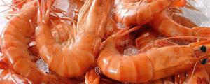 熟虾冷冻十天还能吃吗？熟了冷冻后可以保存多久？