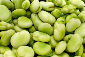 蚕豆的功效与作用及禁忌 蚕豆的营养价值