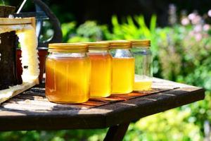 鸭脚木蜂蜜功效与作用 鸭脚木蜂蜜是几等蜂蜜