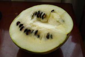 籽瓜的功效与作用及禁忌 籽瓜的营养价值