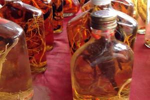 蝎子酒的功效与作用及禁忌 蝎子酒的制作方法