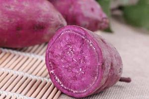 紫薯什么时候上市 紫薯产地在哪里