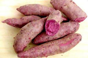 小紫薯是转基因食品吗 小紫薯1斤有几个