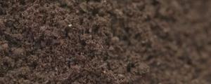 蚯蚓土和蚯蚓粪的区别