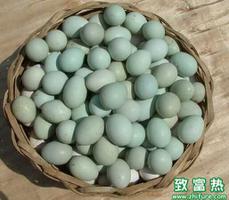 乌鸡蛋的功效与作用、营养价值、颜色