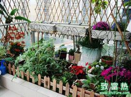 阳台种植的花草和蔬菜引来昆虫的解决办法